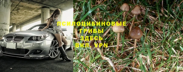 сатива Майский
