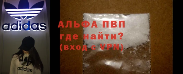 PSILOCYBIN Медвежьегорск